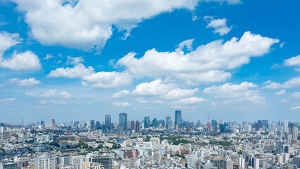 Fototapeta premium 東京風景