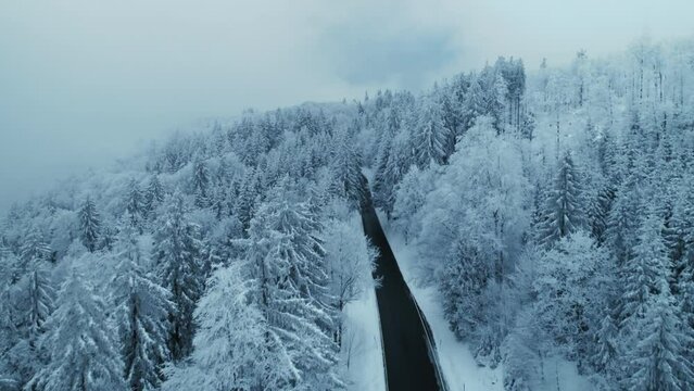 Cinematic and epic shot of beautiful winding mountain road in winter snow covered landscape. Winter season scenery on cloudy cold day. Car drive on small empty road in snowy forest