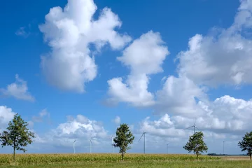 Foto auf Acrylglas Windmills in Flevoland    Windmolens in Flevoland © Holland-PhotostockNL
