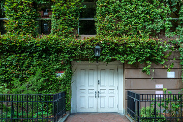 Old wooden door on a wall covered in greenery. Windows above entrance, metal forged fence on front. High quality photo