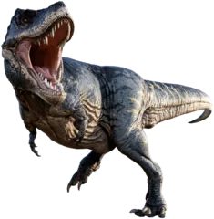 Afwasbaar Fotobehang Dinosaurus Tyrannosaurus from the Cretaceous era 3D illustration 