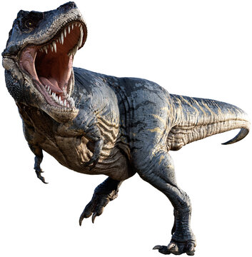 Fototapeta Tyrannosaurus from the Cretaceous era 3D illustration 