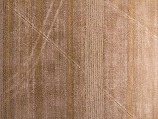 Texture of a plowed field. Zenithal plan