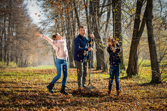 Father raking autumn leaves while his children playing and jumping around