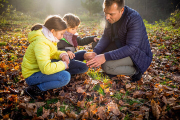 Father with his children picking mushrooms while walk in autumn forest