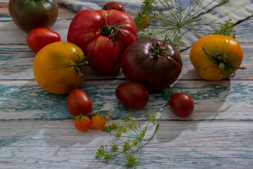 Fresh tomatoes on a wooden kitchen table in a rustic house.