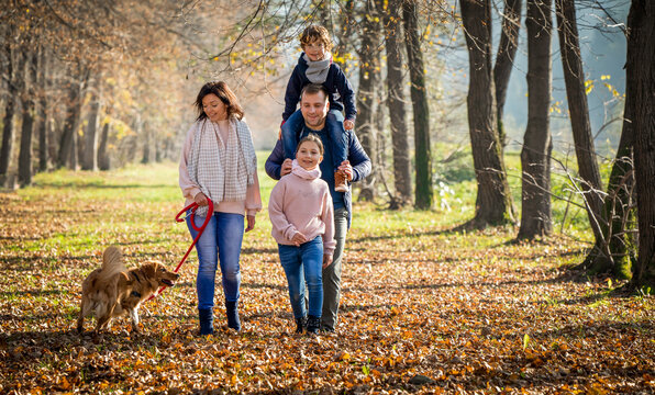 Happy Family With Dog Walking In The Autumn Park Among Yellow Leaves