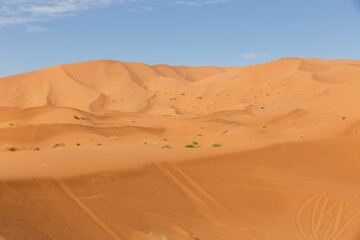 Fototapeta na wymiar sand dunes in the sahara desert. Erg Chebbi Morocco