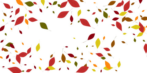 Leaves. Yellow, red, green, orange, brown colors. Scattered autumn leaves. Unusual abstract texture. Vector eps 10.