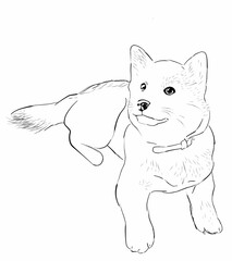 Cute dog drawing line art
