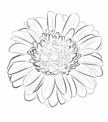 Flower flat style vector illustration