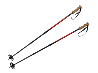 Ski and hiking poles with large snow cups isolated. 