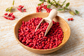 Pile of Berberis vulgaris also known as common barberry, European barberry or barberry on plate in home kicthen. Edible herbal medicinal fruit plant.