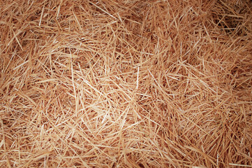Yellow dry hay as a background. Hay macro photography.