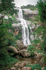 Obraz premium waterfall in the jungle
