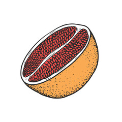 Fototapeta premium Illustration with half of grapefruit isolated on white background