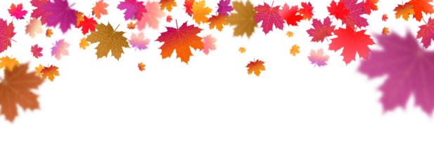 PNG. Abstract art autumn background leaves. Hand drawing