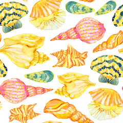 Watercolor seashells on white background seamless pattern