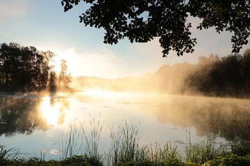 Sunrise over a lake on a foggy summer day - 531106647