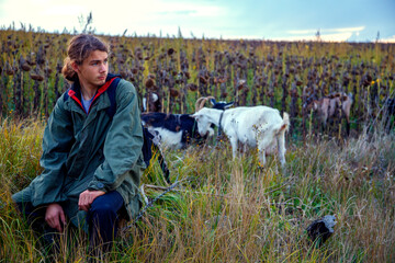 A teenage boy grazes goats in a field. A shepherd with goats in a field against a stormy sky. The...