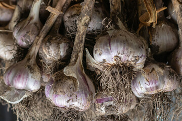 Photo food garlic bulb. Background texture Plant vegetable garlic.