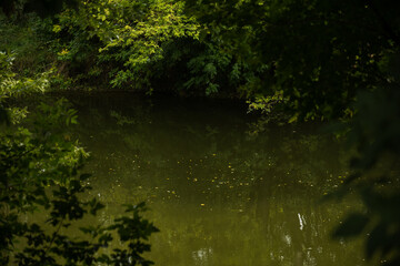 Europe, greenery and wilderness. Reflection