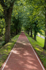 Rubber running track lane in public park at urban city. Nature trees and environment green space for recreation