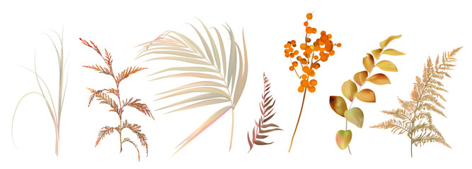 Mix of herbs and plants vector big collection. Cute rustic wedding greenery