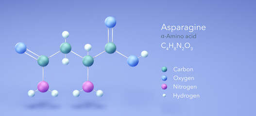 asparagine, molecular structures, amino acid, 3d model, Structural Chemical Formula and Atoms with Color Coding
