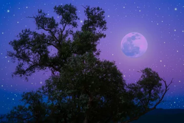 Cercles muraux Pleine Lune arbre 銀河系の空　可愛い背景素材