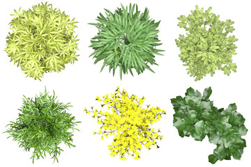 Fototapeta premium Pack of PNG vegetation. +6K. Tropical Bushes. Made from 3D model for compositing