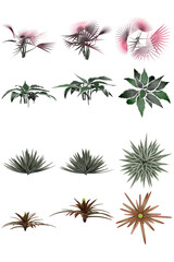 Pack of PNG vegetation. +6K. Tropical Bushes. Made from 3D model for compositing