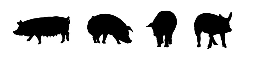Obraz na płótnie Canvas Pig, set of silhouettes of pigs