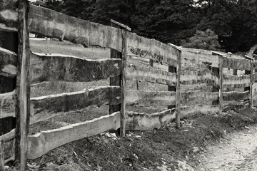 Stary płoty zrobiony z desek drewnianych na wsi.  © FotoDax