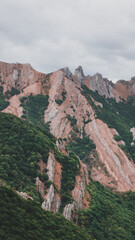 Fototapeta na wymiar Beautiful mountain rocky hill with trees and orange and green tones