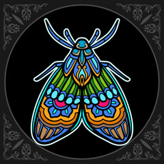 Colorful moth mandala arts isolated on black background