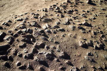 stones covered with sand in the village