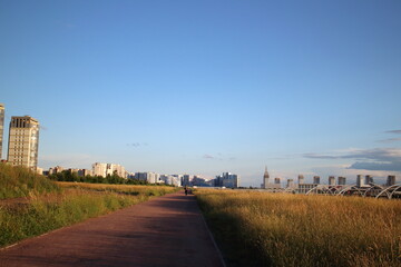 tall grass on the outskirts of the city in a pedestrian zone