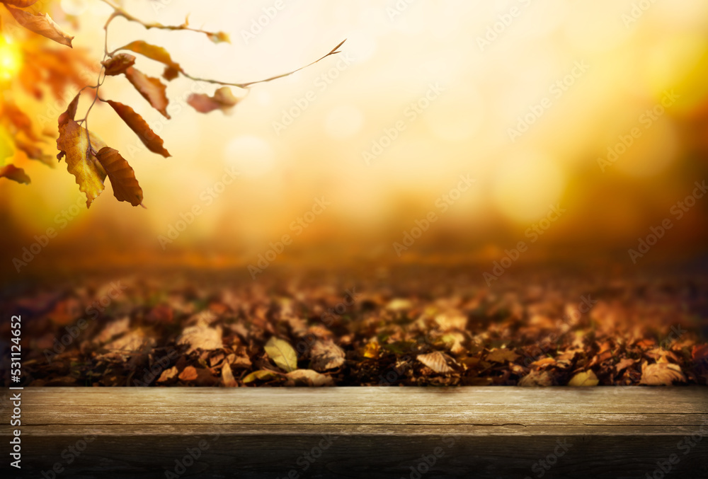 Wall mural an autumn golden sunset background of tree leaves and trees in the fall with a wooden nemch, table, 