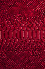 Beautiful red, pink bright snake or crocodile skin, reptile skin texture, multicolored close-up as a background.