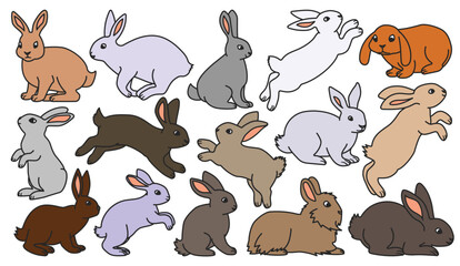 Rabbit vector color set icon. Isolated color set icon animal.Vector illustration rabbit on white background.