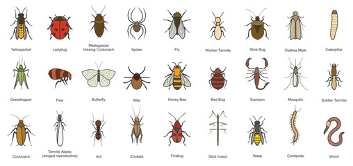 Bug of insect vector color set icon.Vector illustration insect beetle. Isolated color icon bug and fly beetle.