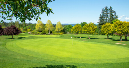 Scenic Golf course at Victoria, Canada. On a beautiful spring day. Vancouver Island is temperate enough for year round golfing.             - obrazy, fototapety, plakaty