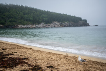 Sand Beach of Acadia National Park on east side of Mount Desert Island.