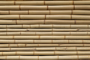 wallcovering texture with new bamboos
