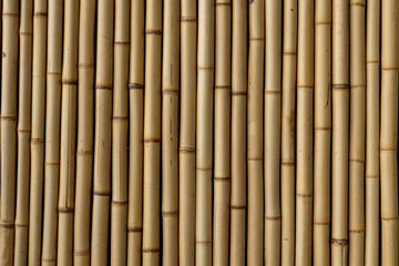 wallcovering texture with new bamboos