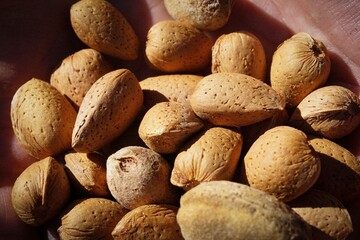 unshelled almonds