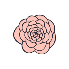 Hand drawn flower isolated on white background. Colorful decorative doodle sketch illustration. Vector floral element.