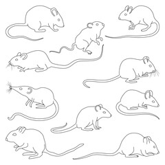 Mouse of animal isolated outline set icon. Vector illustration mouse of animal on white background.Vector outline set icon rodent.