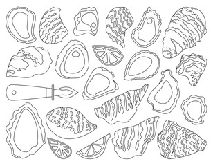 Oyster isolated outline set icon. Vector outline set icon shellfish food. Vector illustration oyster on white background.